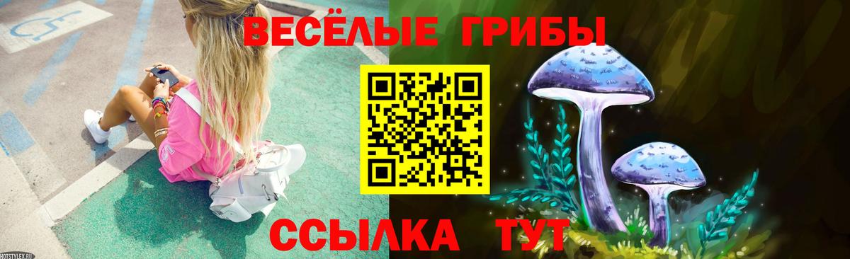 Псилоцибиновые грибы мицелий  Вход с VPN  Сибай 